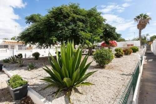 קוסטה דל סילנסיו Casa Sandra מראה חיצוני תמונה